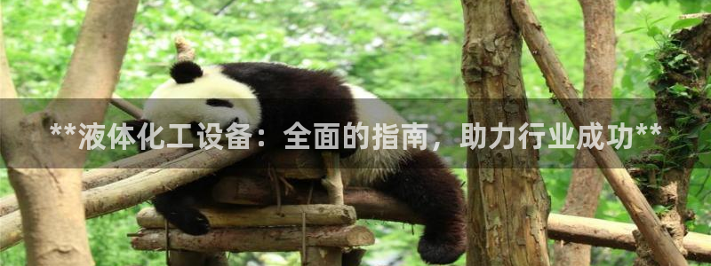 新城平台线路登录不上去怎么回事呢