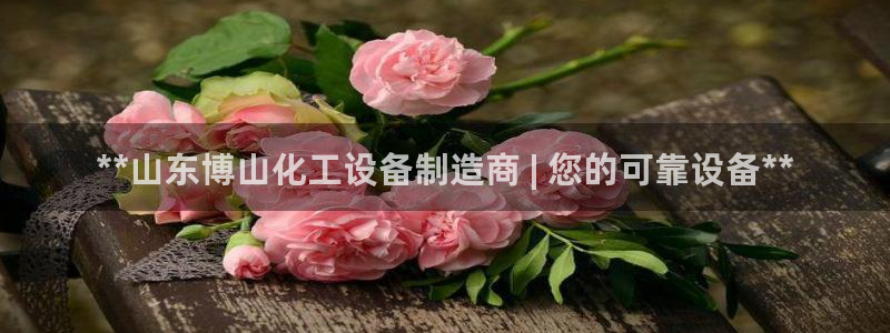 新城平台注册流程