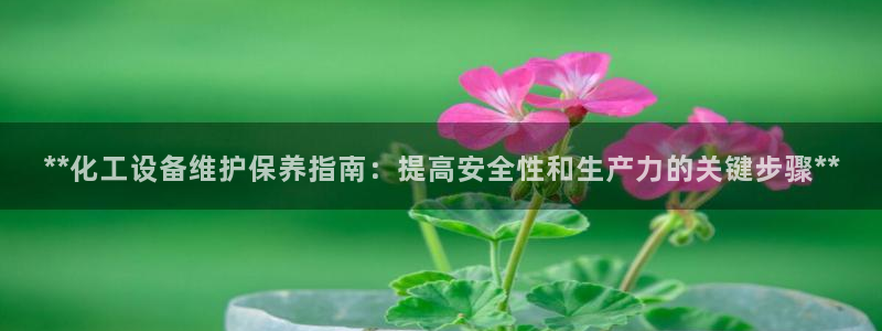 新城平台总代理是谁