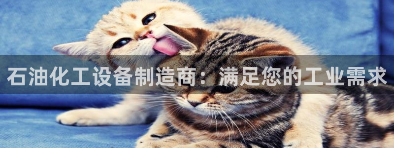 新城平台线路登录不上去怎么回事呀