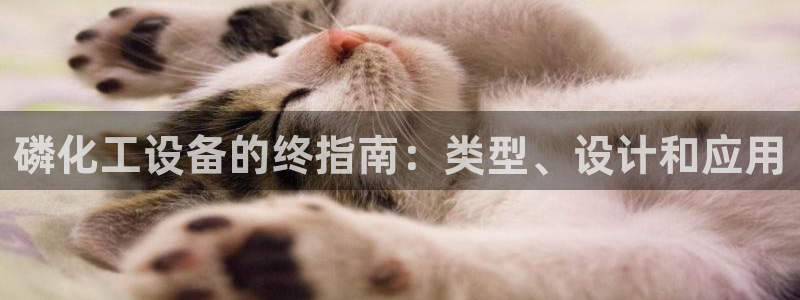 新城平台登录入口官网首页下载