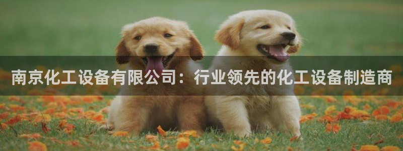 新城平台登录入口官网查询网址