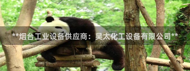 新城平台平台