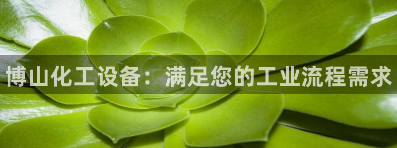 新城平台入.新城平台.全国联网是什么意思