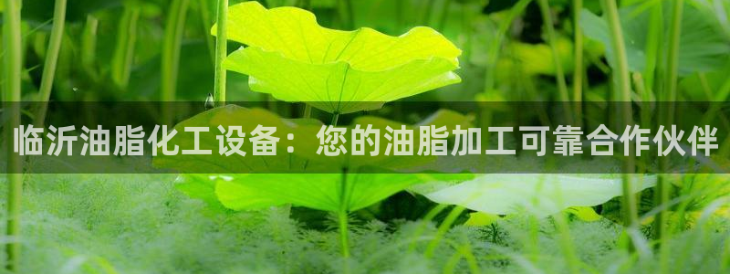 新城平台记7O777