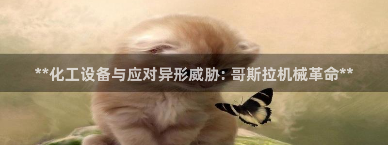 新城平台登录入口官网网址是什么