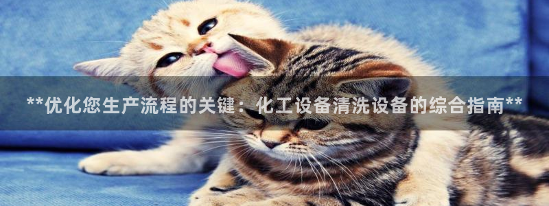 新城平台注册流程