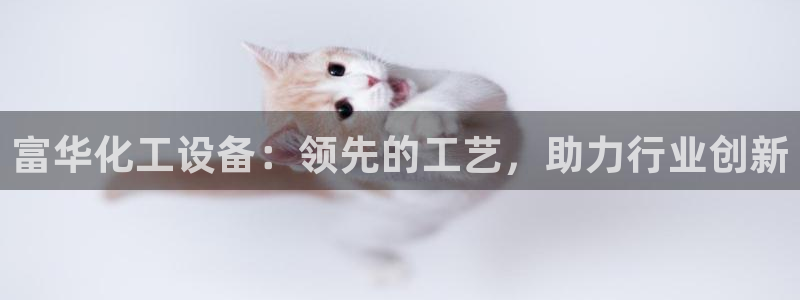 新城平台平台最新活动