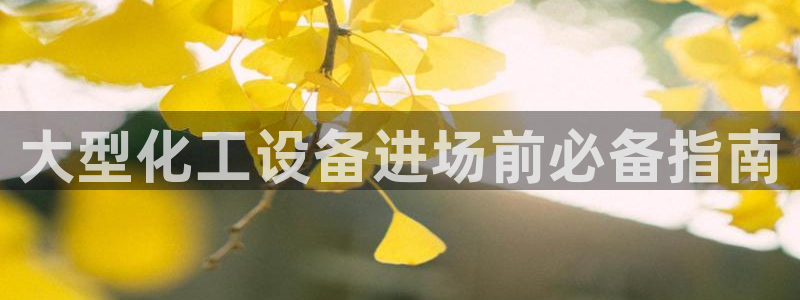 新城平台登录入口网址