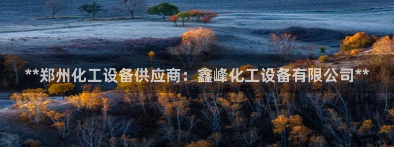 新城平台代理