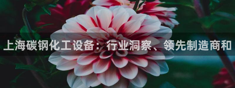 新城平台线路登录不上去怎么回事儿