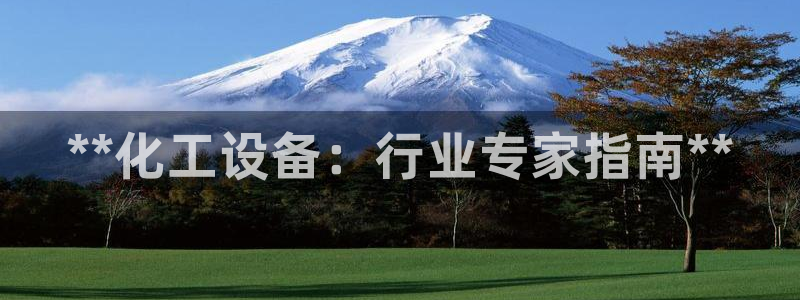 新城平台注册公司流程图