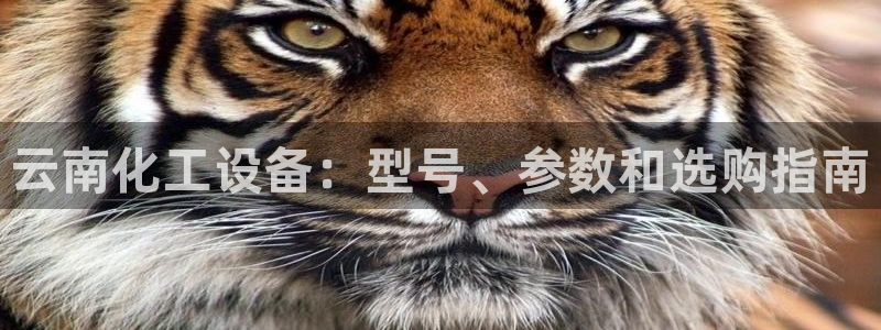 新城平台登录入口网站