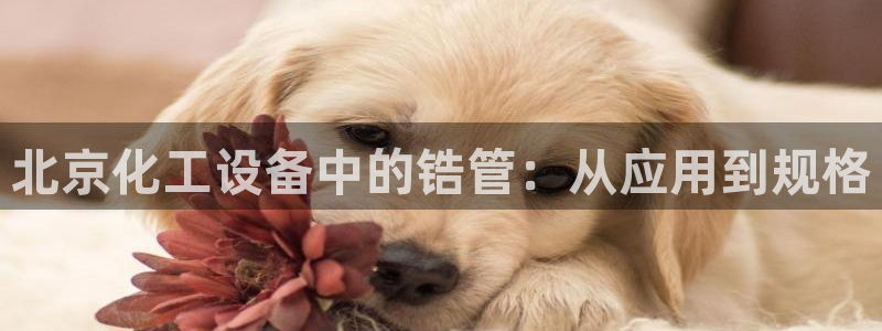 新城平台代理注册公司