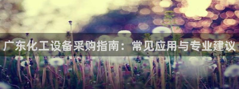 新城平台平台