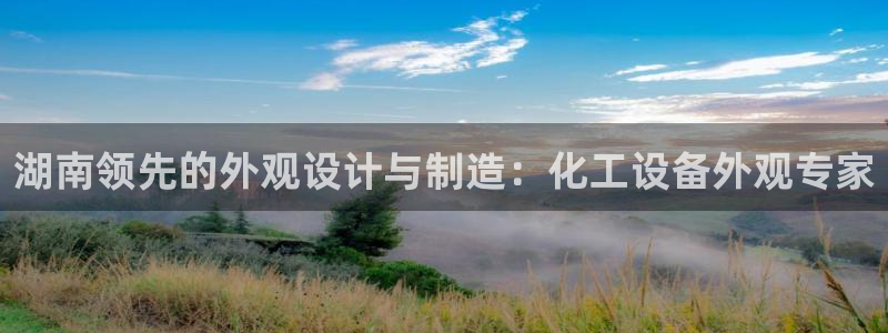 新城平台登录入口官网查询