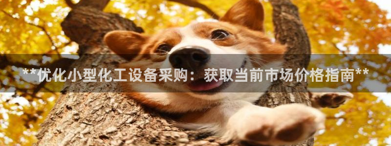 新城平台线路登录不上去了怎么回事