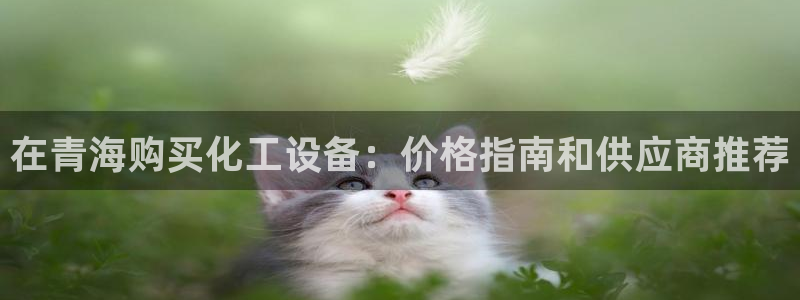 新城平台入.新城平台.全国联网是什么意思