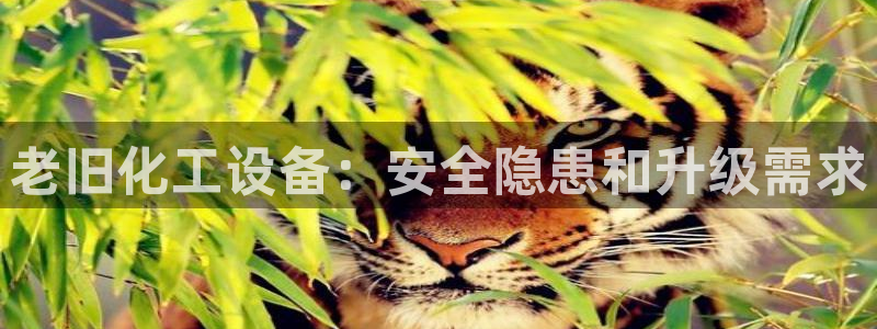 新城平台登录入口官网下载手机版