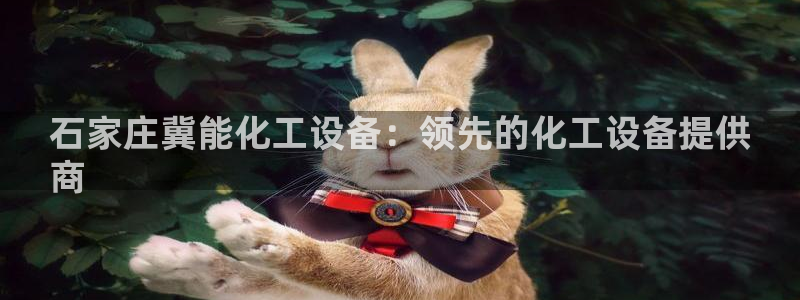 新城平台企业信息查询