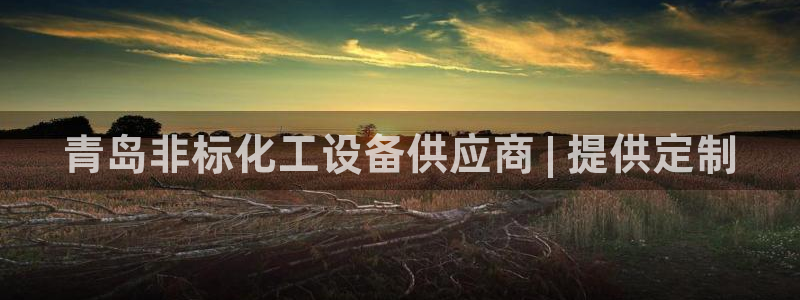 新城平台注册资金多少