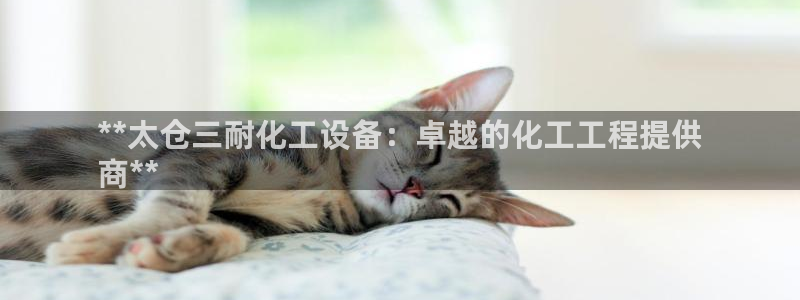 新城平台登录入口官网首页查询