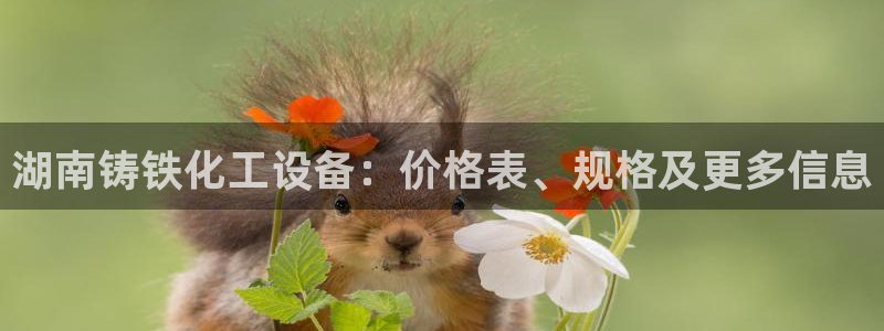 新城平台官网注册流程
