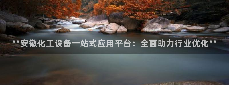 新城平台是干嘛的公司啊