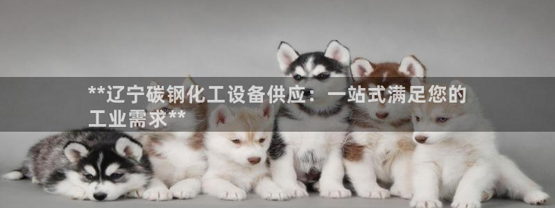 新城平台线路登录不上去了怎么办