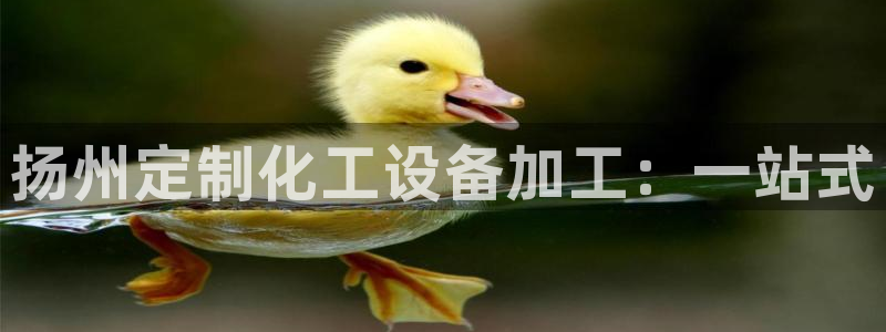 新城平台登录入口官网查询网址