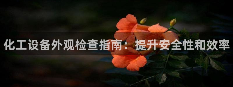 新城平台代理电话