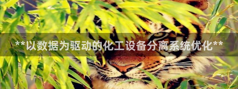 新城平台游戏