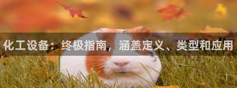 新城平台登录