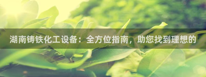 新城平台注册公司流程