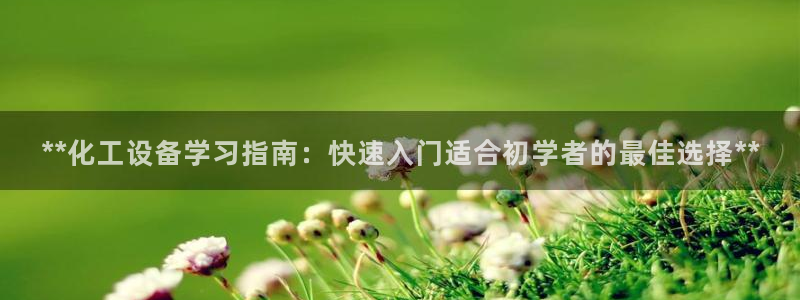 新城平台登录入口官网首页查询