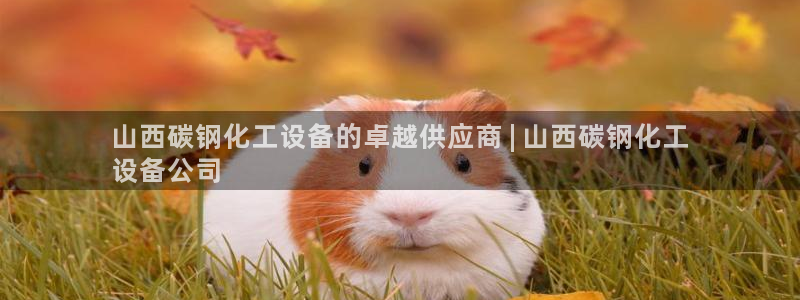 新城平台登陆