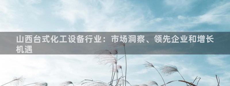 新城平台属于哪个系列
