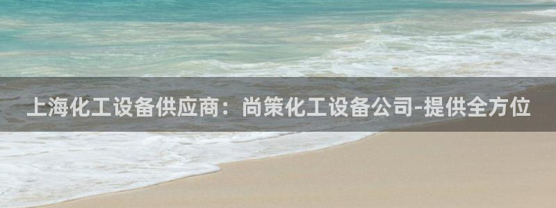 新城平台企业信息查询