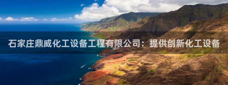 新城平台是干嘛的公司有哪些