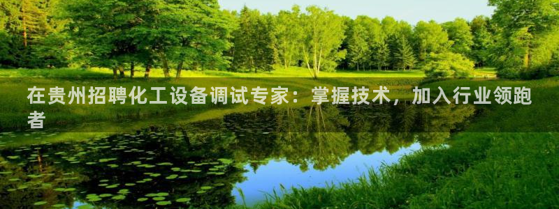 新城平台登录入口网址