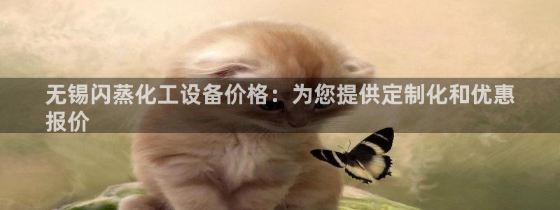 新城平台代理