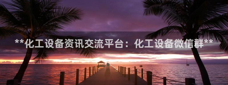 新城平台是干嘛的公司有哪些