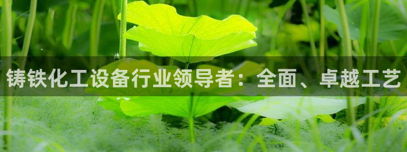 新城平台注册流程