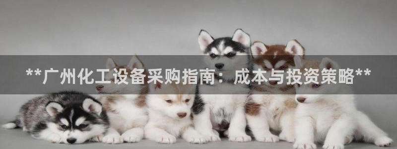 新城平台主管