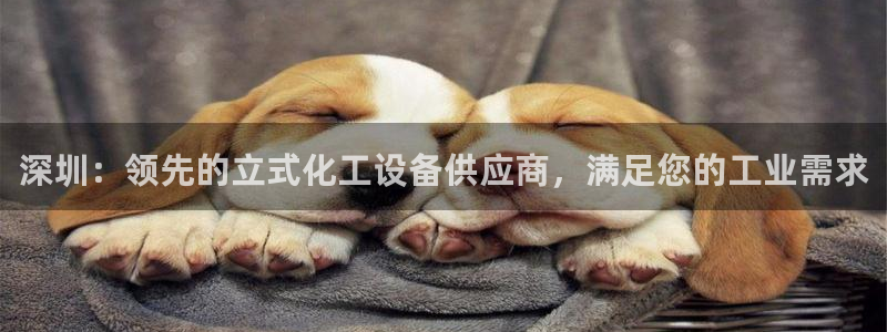 新城平台登录入口官网网址