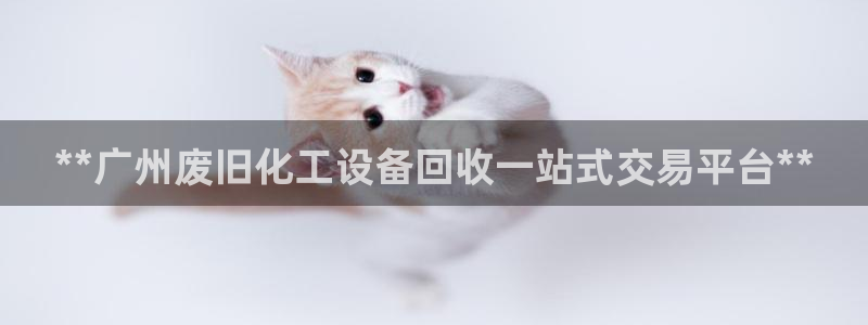 新城平台授权注册