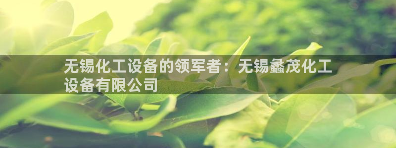 新城平台注册登录地址怎么填
