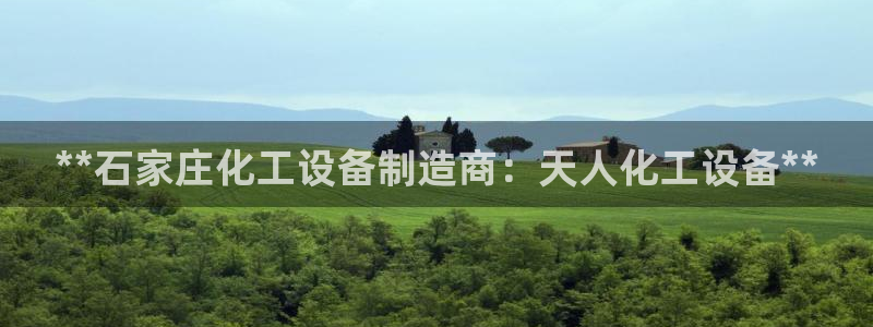 新城平台登录入口官网查询网址