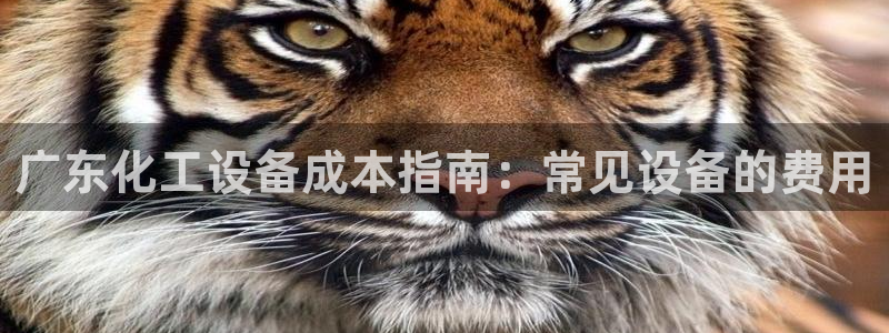 新城平台是干嘛的