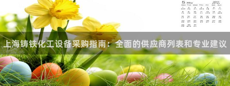 新城平台登录入口官网查询